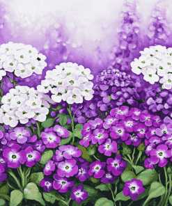 White and Purple Alyssum Blossoms Diamond Painting