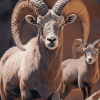 Wild Bighorn Sheep Diamond Painting