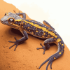 Wild Gecko Reptile Diamond Painting