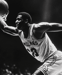 Willis Reed Legendary Basketballer Diamond Painting