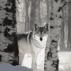 Wolf Among Birches Diamond Painting