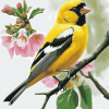 Yellow Finch Diamond Painting