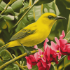 Yellow Hawaiian Honeycreeper Birds Diamond Painting