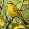 Yellow Kentucky Warbler Birds Diamond Painting