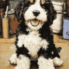 Adorable Bernedoodle Pup Diamond Painting