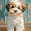 Adorable Shihpoo Puppy Diamond Painting