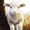 Aesthetic Baby Lamb Diamond Painting