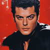 Aesthetic Tony Curtis Celebrity Diamond Painting