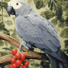 African Grey Bird Diamond Painting