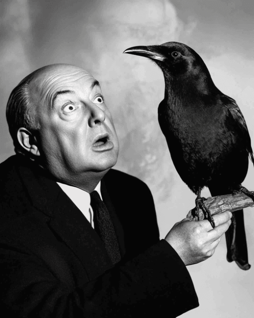 Alfred Hitchcock Black and White Diamond Painting