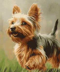 Australian Terrier Puppy Diamond Painting