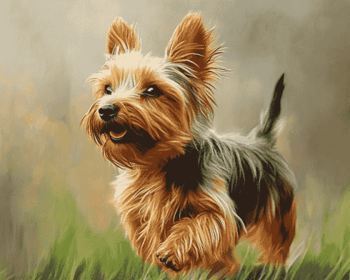 Australian Terrier Puppy Diamond Painting