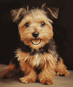 Australian Terrier Puppy Portrait Diamond Painting