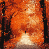 Autumn Walk Landscape Diamond Painting