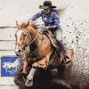 Barrel Racing Horse Diamond Painting