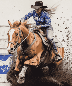 Barrel Racing Horse Diamond Painting