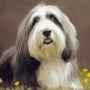 Bearded Collie Puppies Diamond Painting