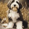 Bearded Collie Puppy Diamond Painting