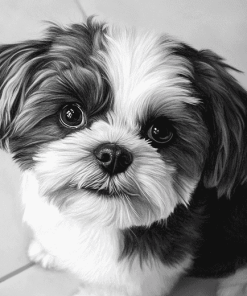 Black And White Shih Tzu Puppy Diamond Painting