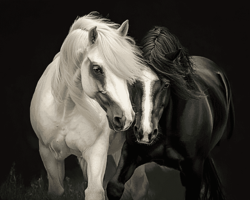 Black and White Cob Horses Diamond Painting