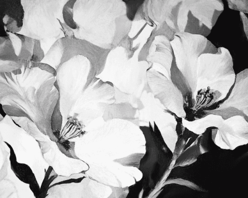 Black and White Flower Diamond Painting