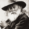 Black and White Walt Whitman Diamond Painting