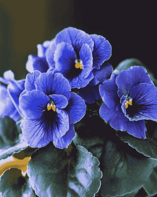 Blue African Violet Blossoms Diamond Painting