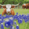 Bluebonnets and Longhorns Diamond Painting