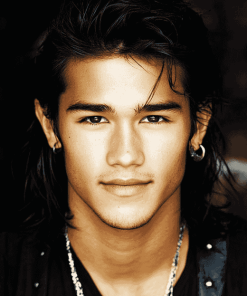 Booboo Stewart Celebrity Diamond Painting