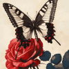 Butterfly on Rose Diamond Painting