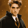 Captivating Cedric Diggory Diamond Painting