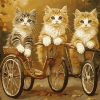 Cat Kittens Bicycle Diamond Painting