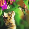 Cat and Hummingbird Diamond Painting