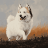 Charming Iceland Sheepdog Diamond Painting