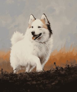 Charming Iceland Sheepdog Diamond Painting