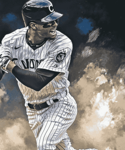 Chicago White Sox Baseball Diamond Painting