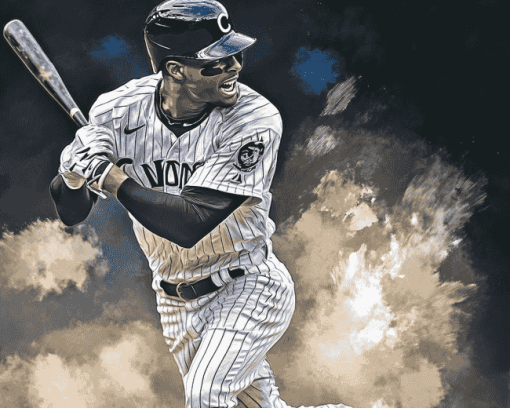 Chicago White Sox Baseball Diamond Painting