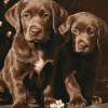 Chocolate Labrador Puppy Diamond Painting