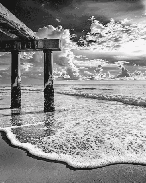 Clearwater Beach Black And White Diamond Painting