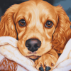 Cocker Spaniel Puppy Diamond Painting