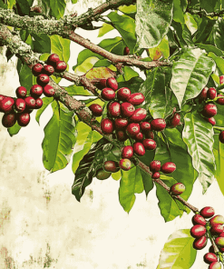 Coffee Tree Plant Diamond Painting