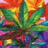 Colorful Cannabis Diamond Painting