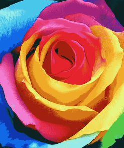 Colorful Rose Blossoms Diamond Painting