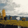 Cows in Autumn Landscape Diamond Painting