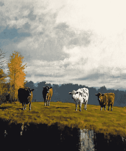 Cows in Autumn Landscape Diamond Painting