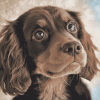 Cute Boykin Spaniel Puppy Diamond Painting