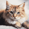 Cute Cat Kitten Diamond Painting