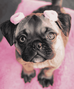 Cute Puppies Paradise Diamond Painting