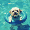 Cute Puppy By The Pool Diamond Painting