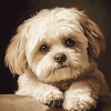 Cute Shihpoo Puppy Diamond Painting